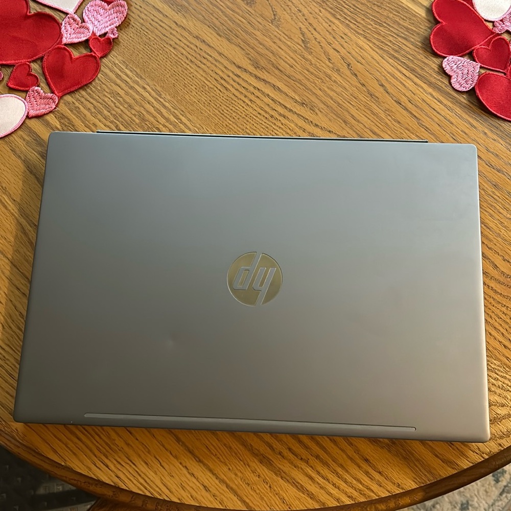 HP Pavilion Laptop 15.6 display